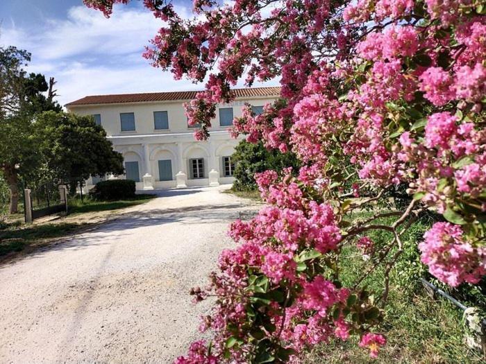 Hotel Le Floreal Le Soler Exterior foto